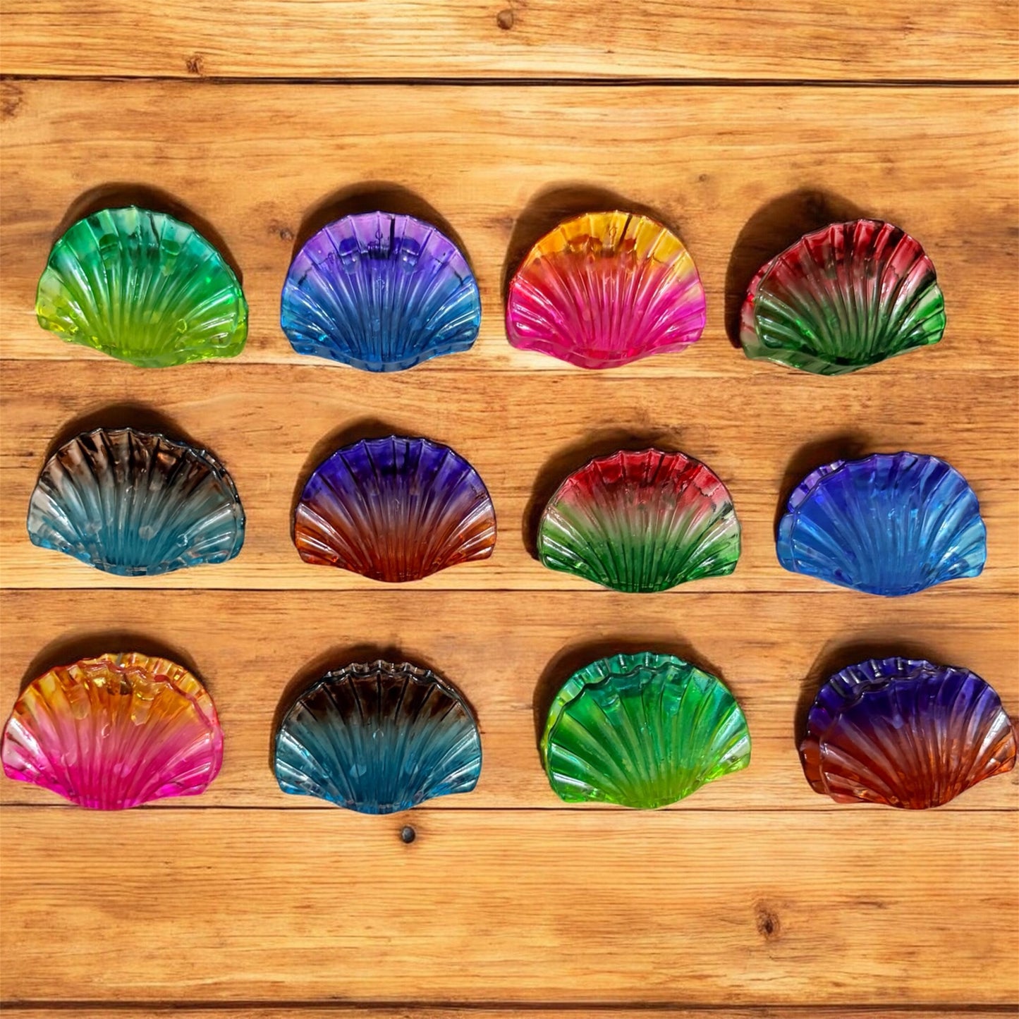 Multicolor Glossy Shell Korean Hairclips (Medium) - Pack of 12 Pcs JHKC100286