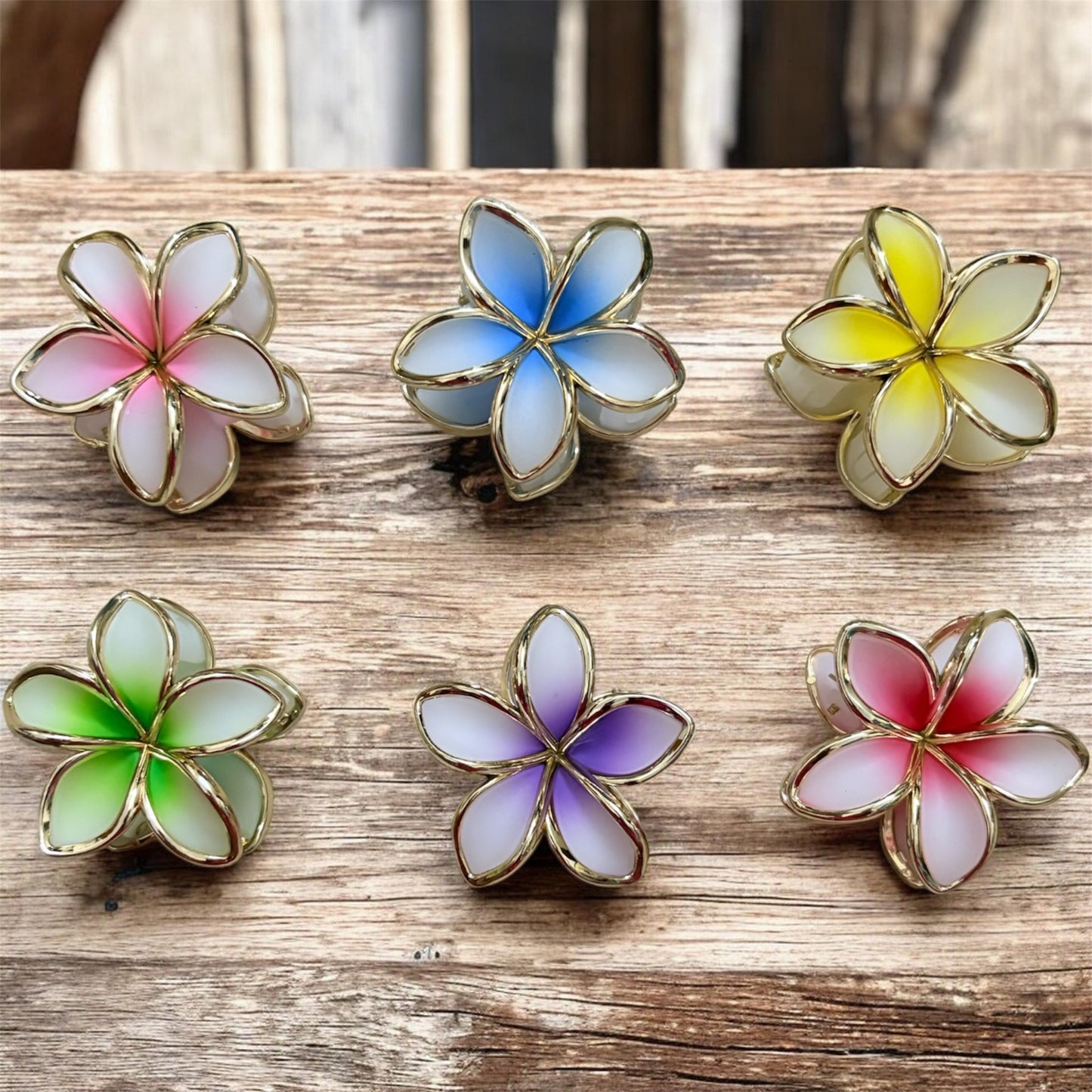 Dual Color Daisy Korean Hair Clips (Mixed 6 pcs) JHKC100225 (Medium)