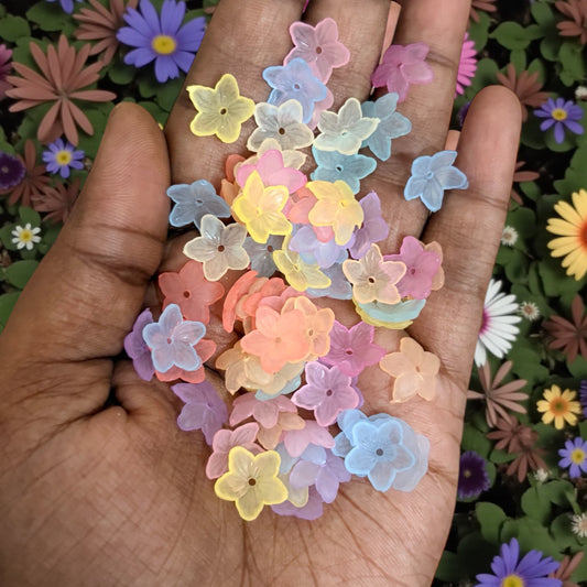 Multicolor Matte Finish Acrylic Flower (10gms)