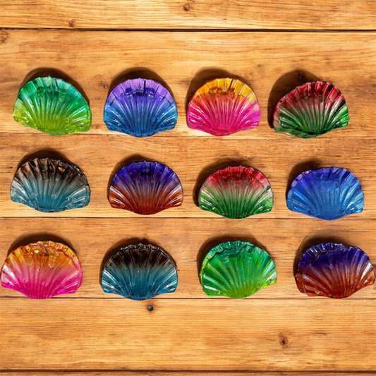 Multicolor Glossy Shell Korean Hairclips (Medium) - Pack of 12 Pcs JHKC100286