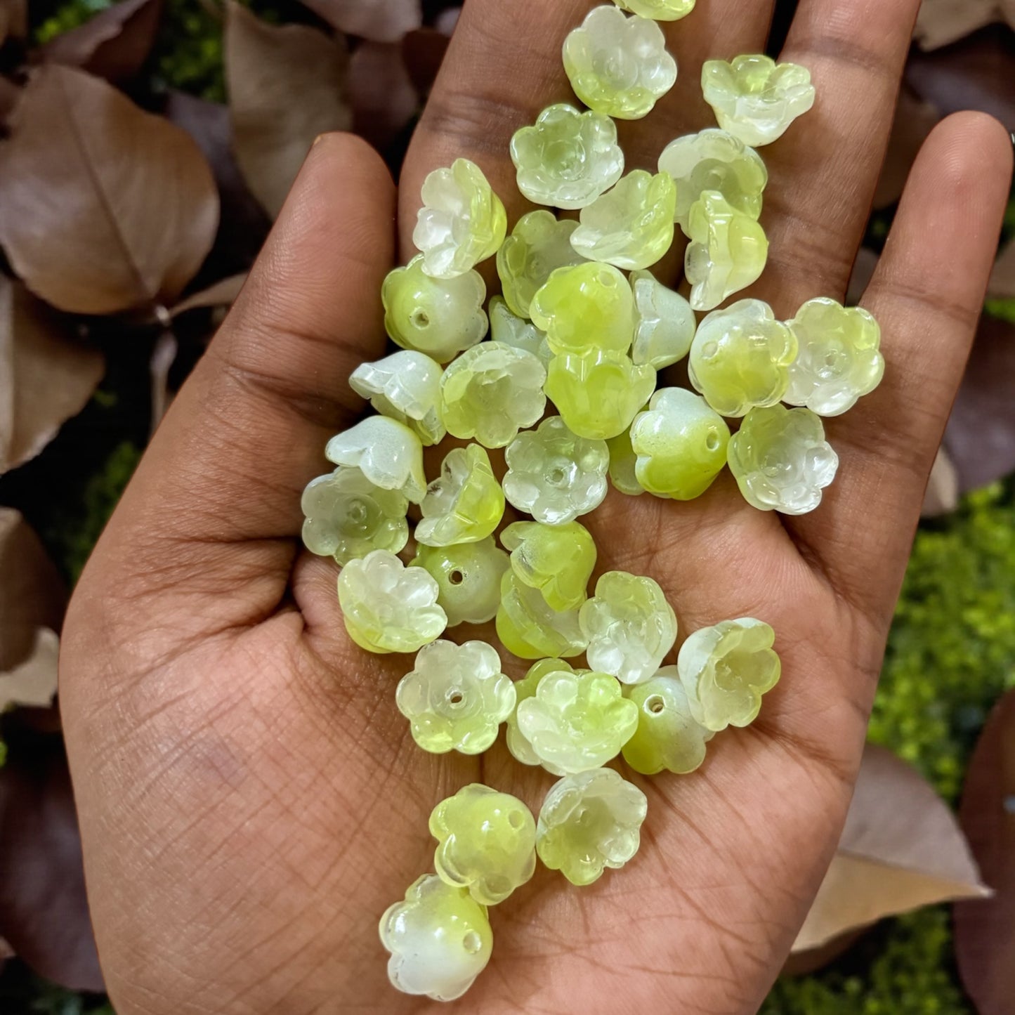 Premium Tulip Buds with Green Leaf (1 Pair)