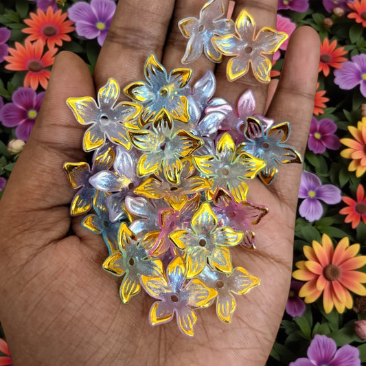 Five Petals Multicolor Acrylic Flower with Golden Line (10gms)