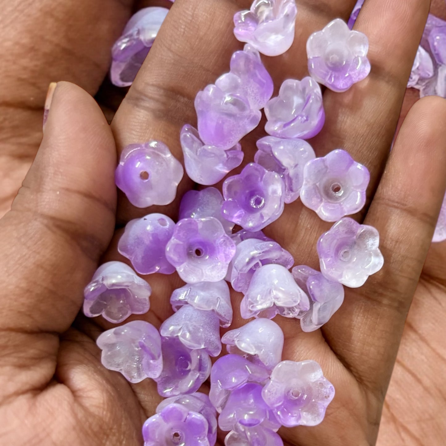 Premium Tulip Buds with Green Leaf (1 Pair)