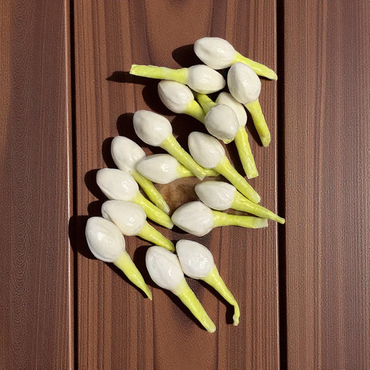 Premium Artificial Jasmine Buds (Pack of 20pcs)