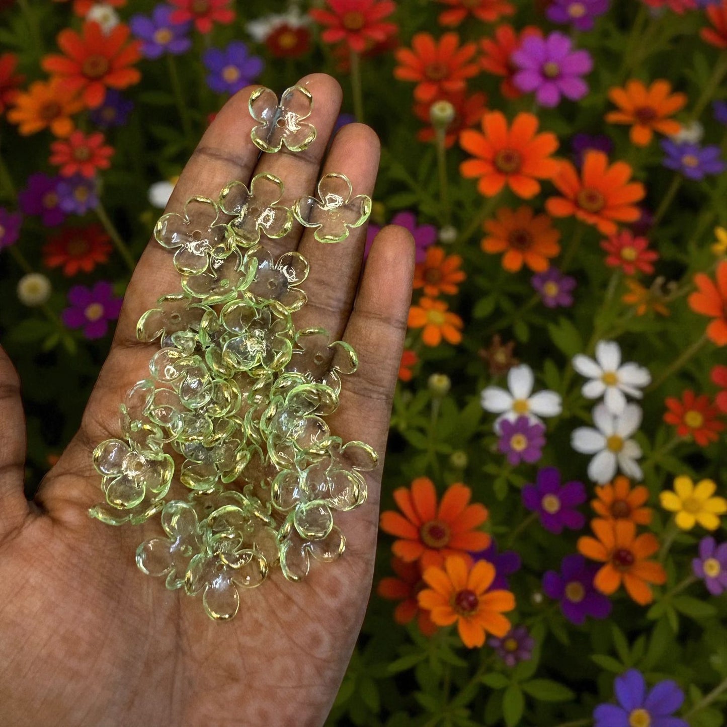 Premium Colorful Acrylic Four Petals Flower with Golden Border (10gms)