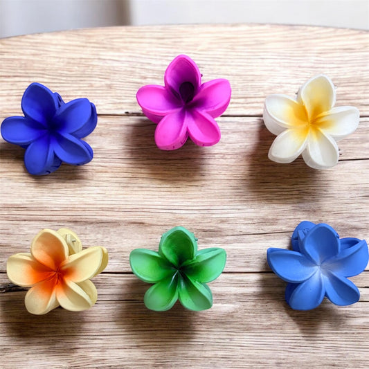 Matte Finish Daisy Korean Hair Clips (Pack of 6 pcs) JHKC100271 (Medium)